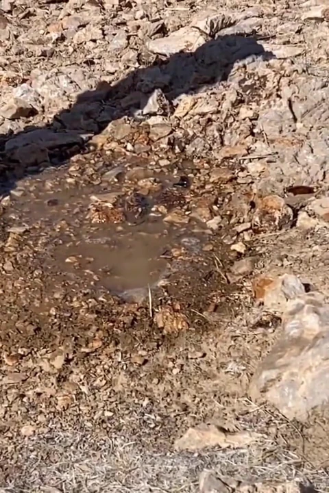 Outdoor pee hiking compilation