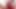 Stepmom pulsating creampie closeup gushing sperm How much sperm are you willing to give your stepmom .