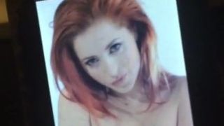 Lucy lisica colette cumtribute