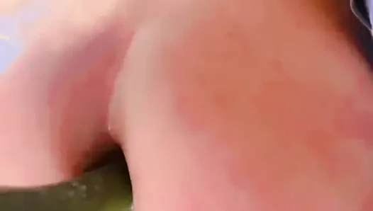A huge pickle in my tight ass when no one is home.