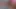 Submissive Hentai Teen wearing Buttplug Loves Rough Anal and her Pussy Squirted -WHORNYFILMS.COM
