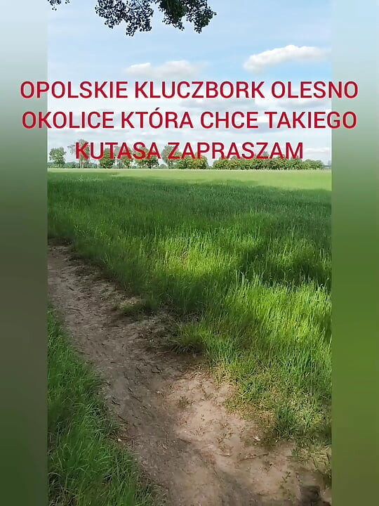 Zadbany kutas