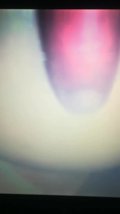 Macarena cuming in my ass