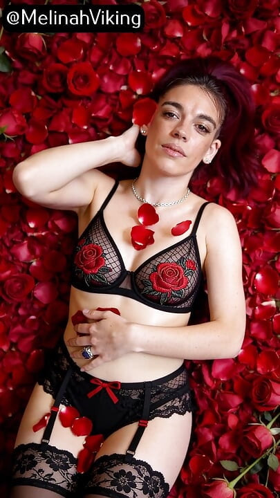 Absolute Beauty