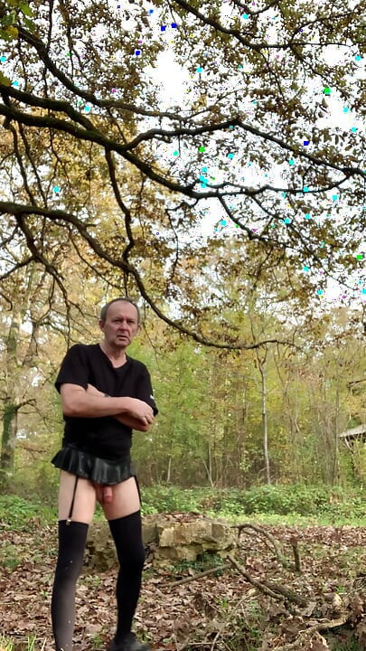 Walk in the forest