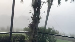 Γυμνοί στην αυλή