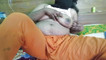 Pratinjau video