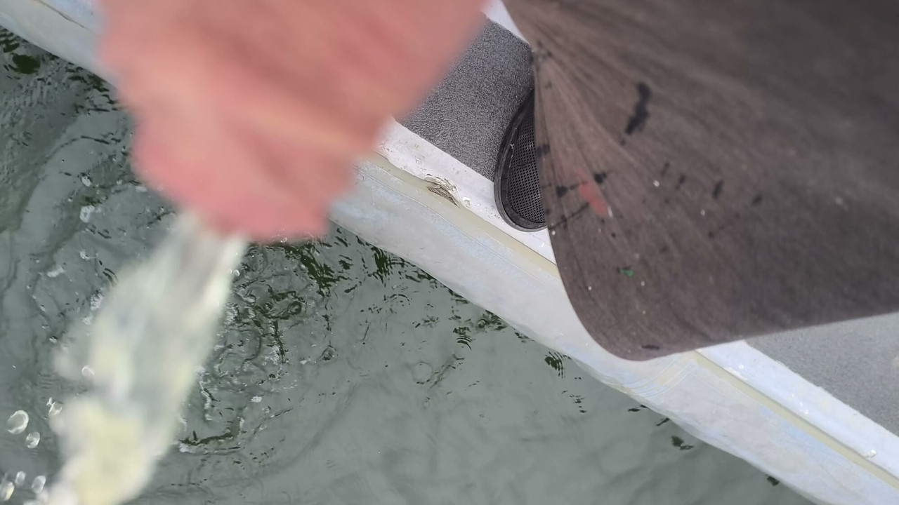 I pee in the ocean :)
