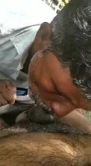 Desi unecle πιπιλίζουν