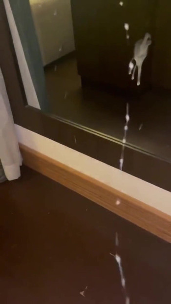 BIG CUMSHOT INFRONT OF STEP MOM