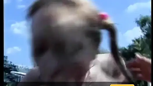 Sexy schlampe gibt blowjob am pool und nimmt gesichtsbesamung auf rasenstuhl