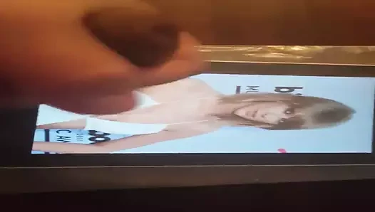 Taylor hızlı haraç