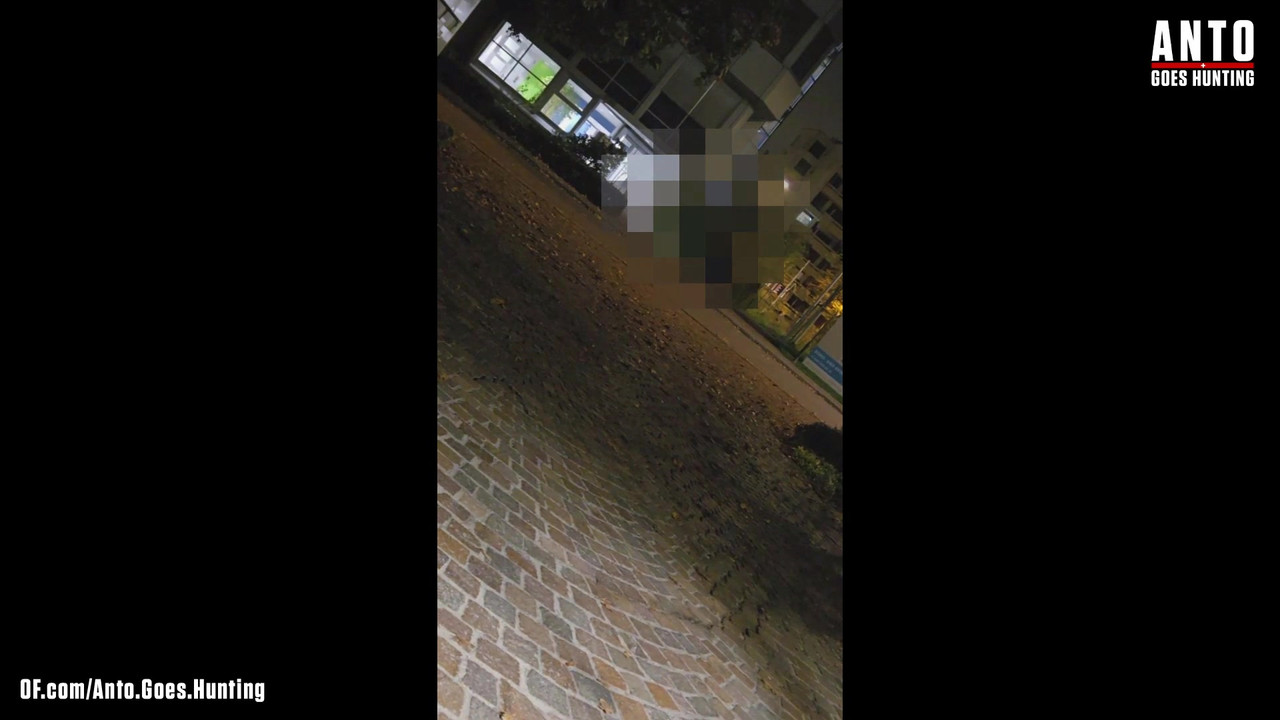 另一个保安走近并说服