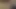geiler Dildofick, xxl dildo im Arsch