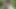 義理のいとこがこんなことをするとは思いませんでした