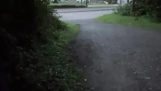 Riskli koşu
