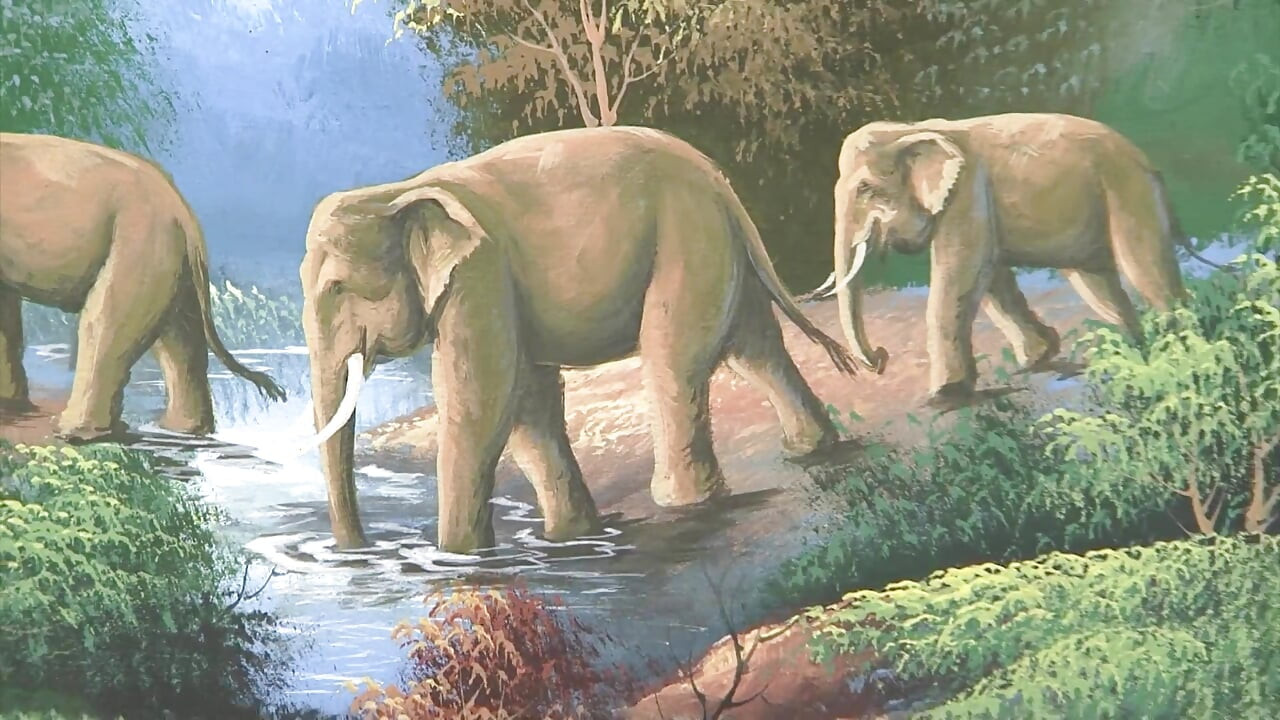 Weiße frau wird von schwarzem hengst gebohrt