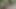Stepsister rides my cock in a river in the Colombian jungle