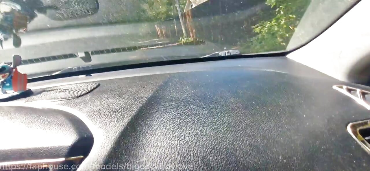 Picked up a big-cocked femboy in a skirt on the road and fucked him bareback.