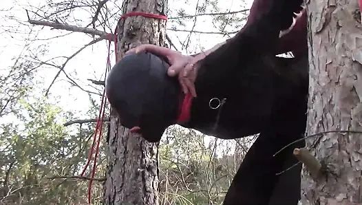 Outdoor sex in the wood. Wearing sexy clothes and high heels, bound, throated and fucked