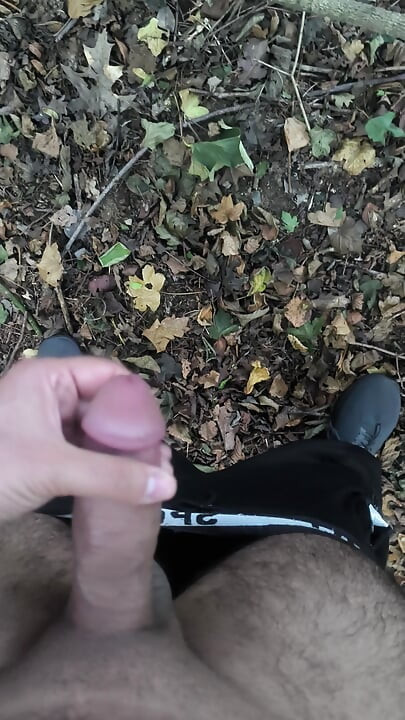 Louis a užívám si čas v lese a masturbuje Počasí bylo krásné.