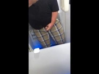 Gordinha acariciando em um banheiro de avião