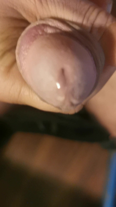 I offer my cock to pamper