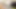 Tutor4k. Kurzhaarige Literaturlehrerin von Hengst genagelt
