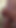 The Reveal