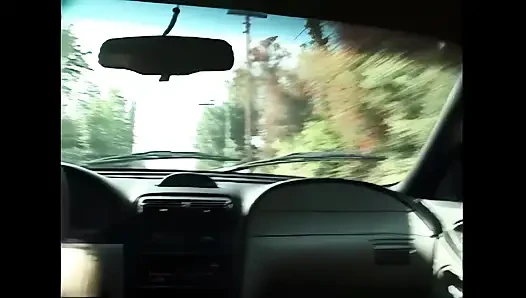 Тест Маленького Лиса