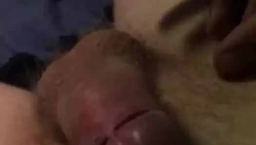 cumshot ile hush lovense