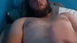 Filhote de Husky masturbando na cama