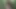 porno sahnesi 4737