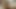 THROBBING HARD PULSATING BIG BLACK COCK SHOOTS A MASSIVE CUMSHOT MOANING LOUD