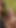 Epischer moment aus "Deutscher extremer vierer - grobe doppelpenetration anal für MILF und teenager"