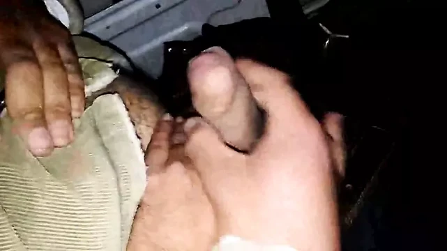mamero oso