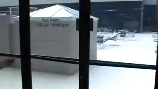 Tampilan baru disetubuhi