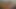 443. daddy cum for cam