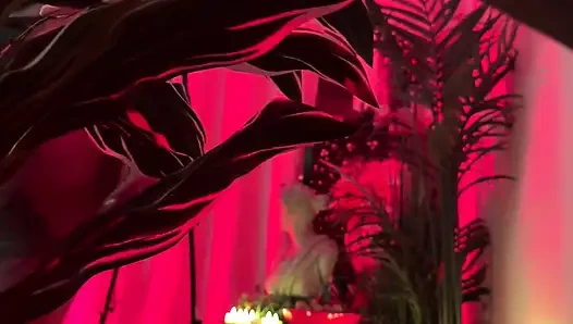 Wetkittycity ile kırmızı tutku bts