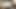 CD TV big ass black cock whore hardcore dildo fucked bbc