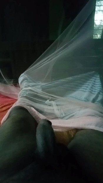 Soo Big Bangladesh Dick