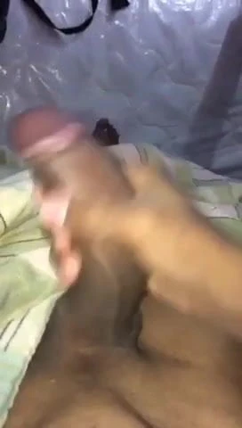 NOVINHO DOTADO