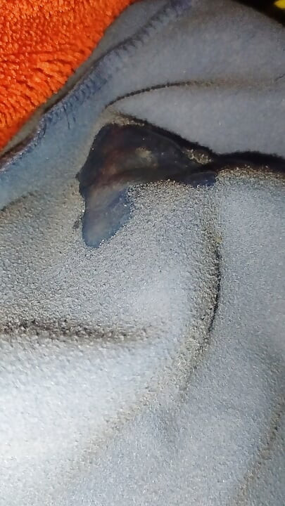 สาวสุดฮอตในฤดูหนาว