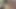 Solo BBC Masturbation