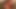 Caramel Honey MILF lutscht Nerd-Schwanz