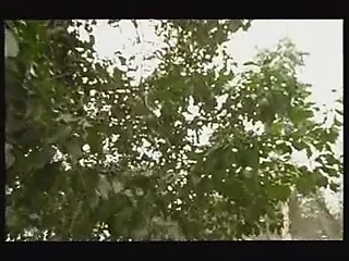 S.I. 11