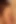 Charlotte Stokely Ve Natasha Malkova lezbiyen sikişiyor