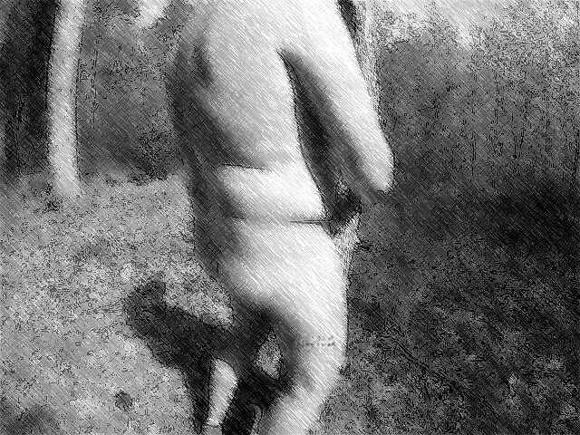 Part 3 Walk 2026