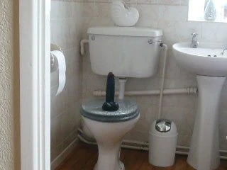 humiliating anal training