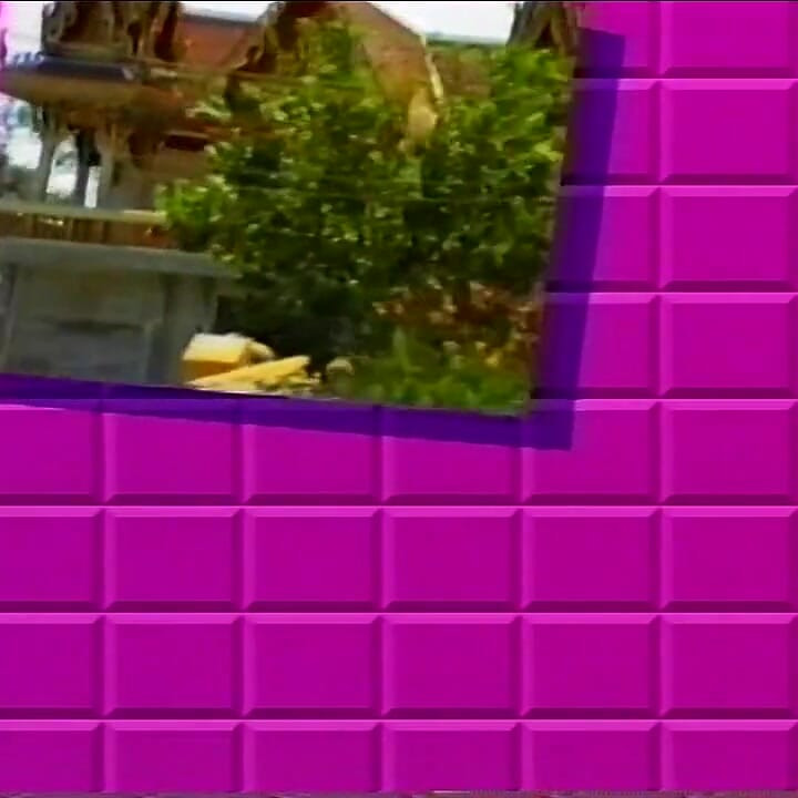 セクストリミティ・ブラインド・クー(1990年)
